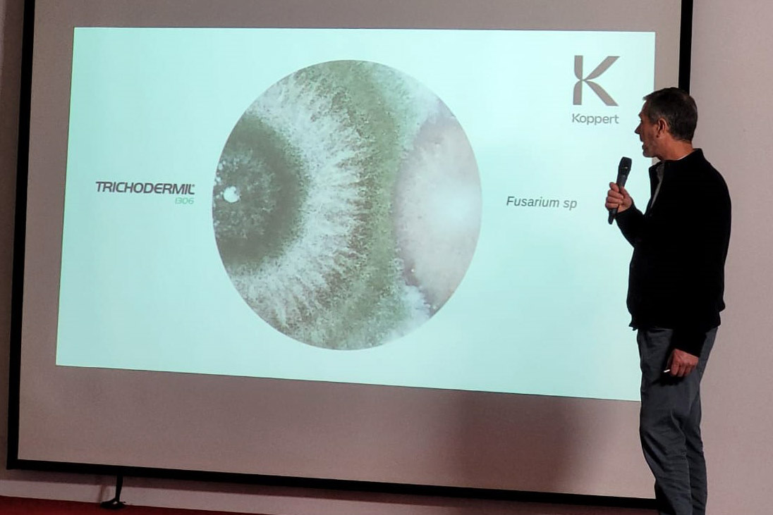 Koppert lanzó su portafolio de biológicos para la campaña de soja y maíz